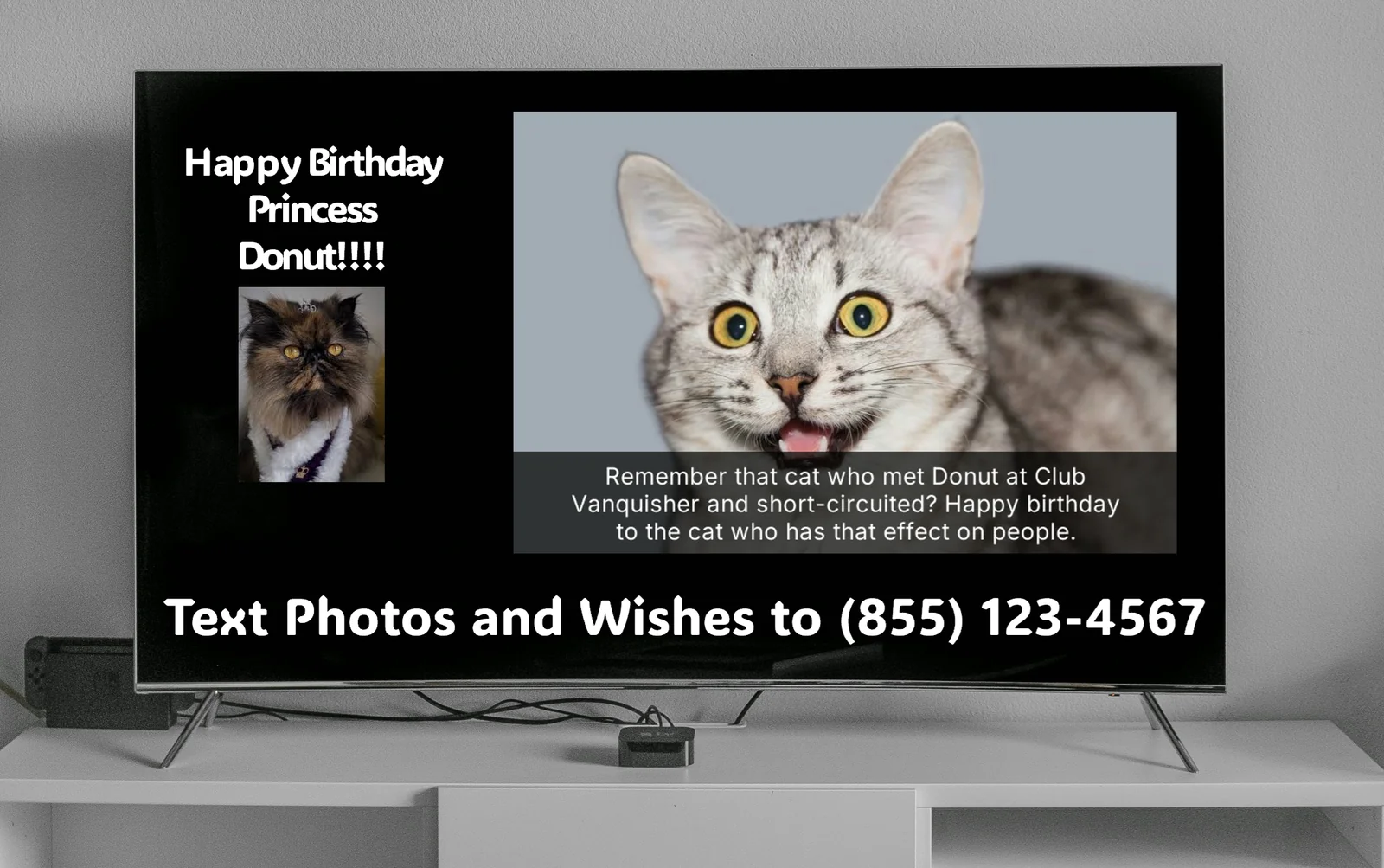 Party TV showing birthday photos and a text-in phone number